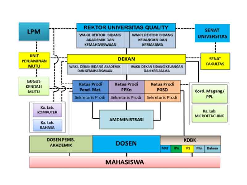 Struktur Pendidikan Guru SD